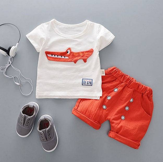 Baby Boys Summer Outfit